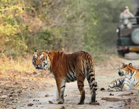 Jim Corbett Trip