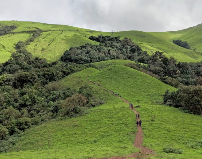 Kodachadri Trek Image