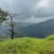 Rajmachi Trek and Kondane Caves: The ideal weekend getaway! review