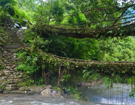 Nongriat Trek- A Living Root Bridge Trek in Meghalaya