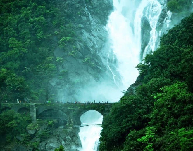 Dudhsagar Trek From Bangalore Image