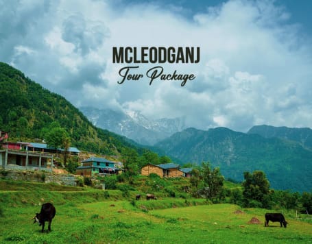 Delhi to Mcleodganj Tour Package