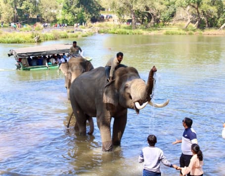 Dubare Elephant Camp