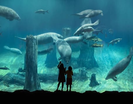 River Wonders Singapore Tickets