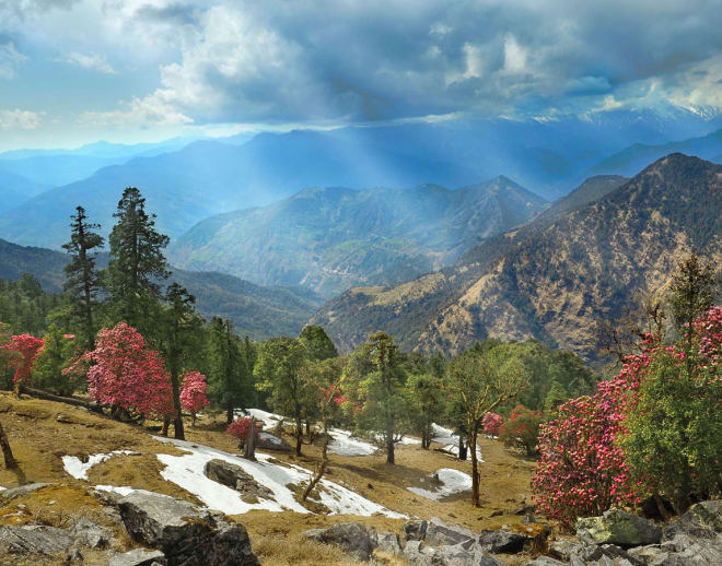 Nag Tibba Trek Image