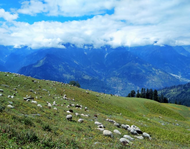 Bir Billing Winter Trek with Camping Image