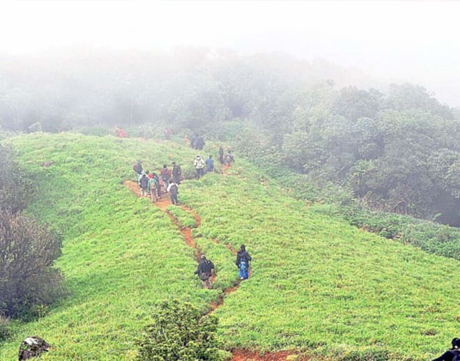 Kalsubai Peak Trek Image