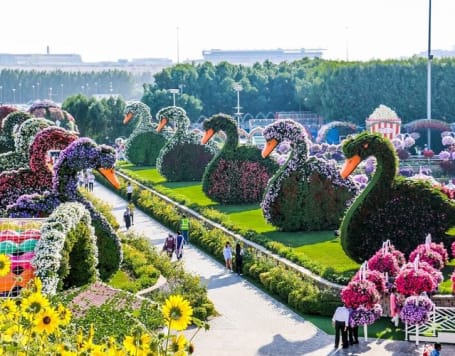 Miracle Garden Tickets Dubai
