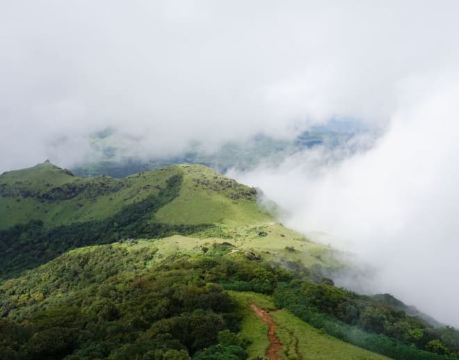 Tadiandamol Trek: Go wild this weekend Image