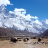 Everest Base Camp Trek Itinerary Day 11